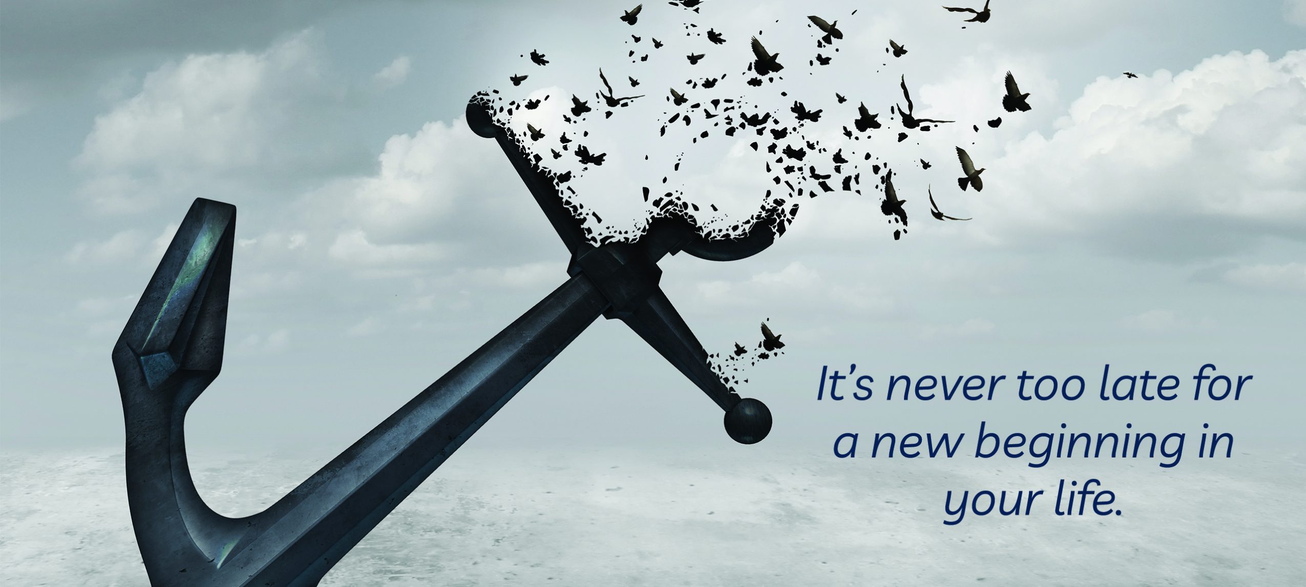 Are you ever too old to start something new? Anchor and birds